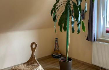 Haus Wirringa, Familie Poppinga - Foto 12