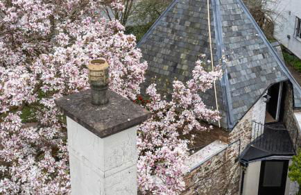 Fairy Cottage - Foto 23