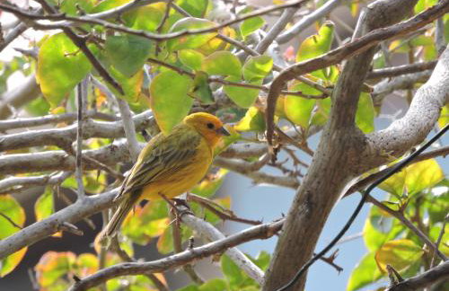 Recanto da Natureza - Foto 20