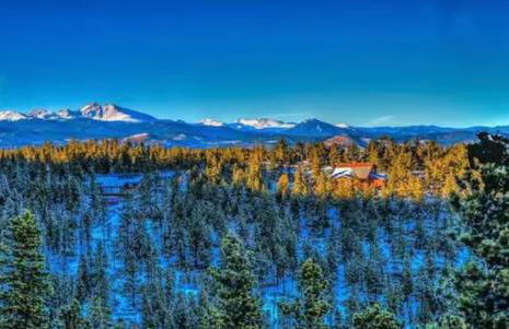 Golden Oasis - Photo 1