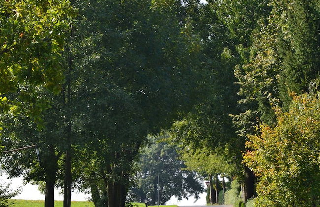 Ferienwohnung Romance - Foto 27