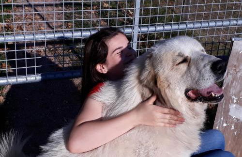 Alpaca-Village - Foto 4