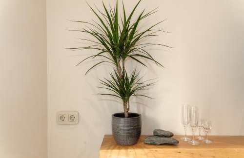 Casa Callisto - Foto 40