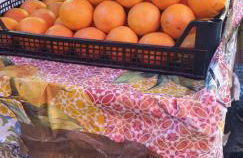 CasALE Sampó - Foto 31