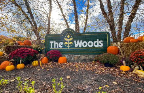 Chalet w Hot Tub Fireplace Grill FirePit & Wifi - Photo 32