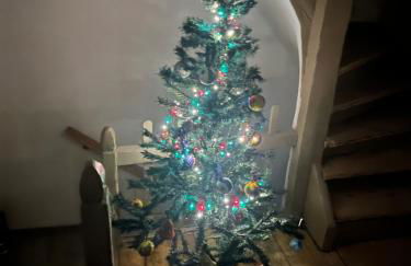 Joli appartement situé à saales - Foto 12