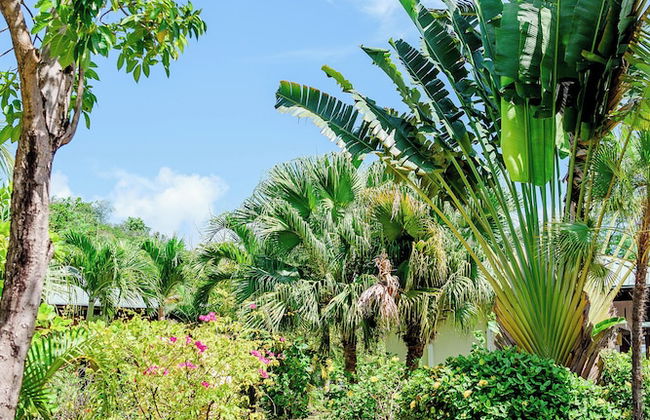 Le Phare Bleu Marina Resort - Foto 48