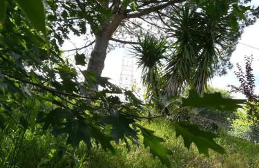 Quinta de S. Vicente 317 - Foto 55