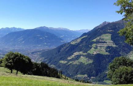 Ferienwohnungen Wiesbauer - Foto 38