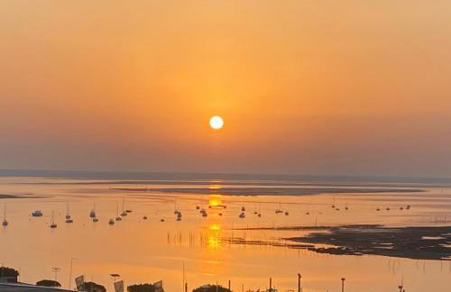 Aux pieds des plages, du port, de la piste cyclable et des commerces de proximité, un studio au dernier étage avec une vue panoramique sur le Bassin d'Arcachon, entièrement rénové, dans une résidence avec piscine - Foto 1