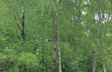 Brzozowy Zakątek - Foto 78