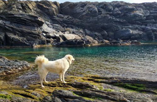 Villa Haass - Foto 64