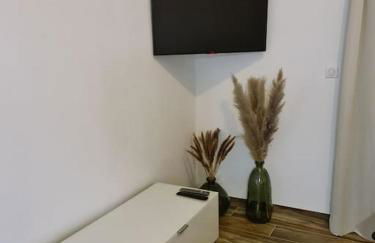 Appartement Proche Aéroport Bâle/Mulhouse - Foto 2