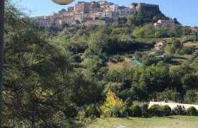 Agriturismo L'Arca di Anna Brambilla - Foto 44