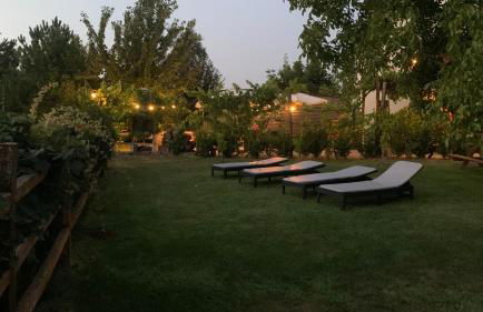 Quinta Vale Salgueiro - Foto 12