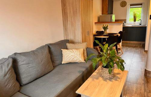 Solińskie Wzgórze domki z kominkami Solina Centrum - Photo 46