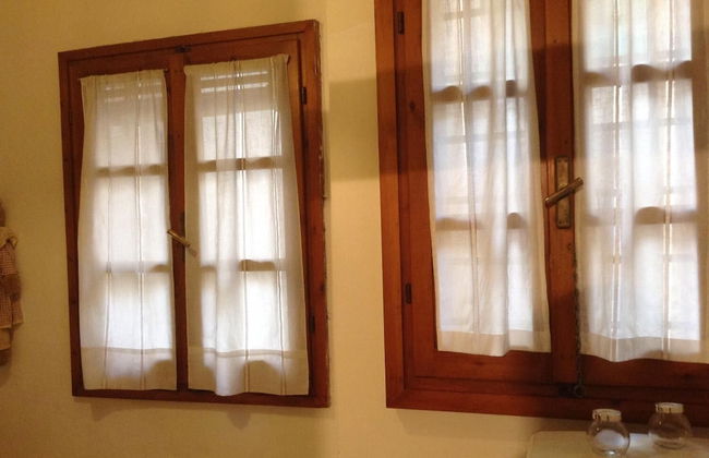 Vellutini Number One - Foto 10