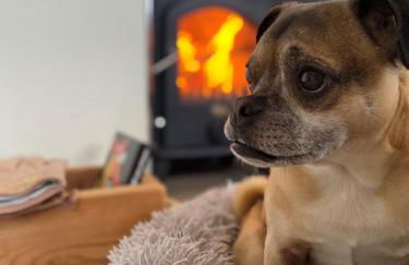 Chauffeur's Cottage with Hot Tub - Foto 15