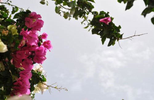 Villa Cyclades Naxos - Foto 18