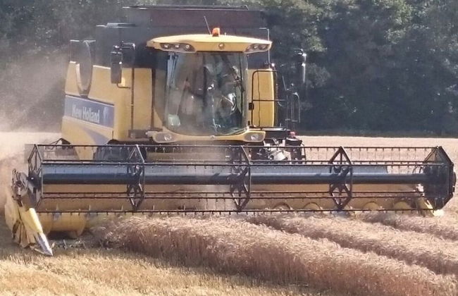 Siems Modern Retreat - Foto 15