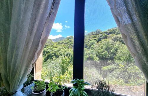 Mesavlia Traditional Stone House - Photo 38