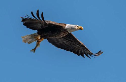 Waterfront Winter Escape Luxury Bay Views - Foto 34