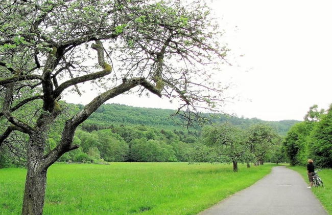 Group Stay in Ulmen-furth - Foto 24