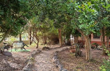 Sa Stella E Monti - Foto 16