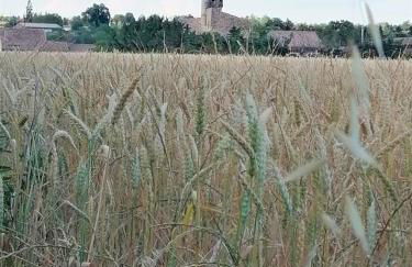 Les Gîtes de Genas - Foto 71