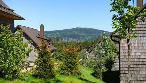 Ferienhäuser im Torfhaus Harzresort, Torfhaus - Foto 3