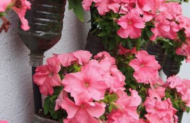 Erholung im Main-Tauber-Kreis - Foto 24