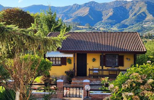 Rincón de Madagascar VV-2192-AS - Foto 8