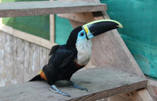 Escursione di 2 giorni alla Reserva Naturale Marasha - Foto 4