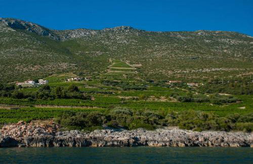 Holiday Home Biserka - Photo 33