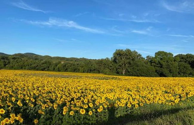 "la Casa Delle Bimbe" - Foto 13