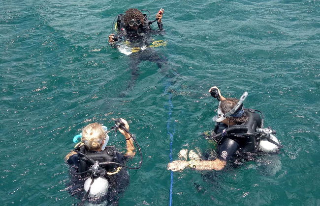 PADI Open Water Diving Course - Foto 2