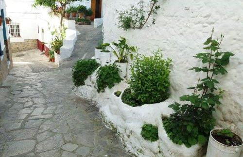 Alvarado Loft Rural - Foto 11