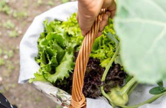 FONTIS luxury spa lodge - Photo 37