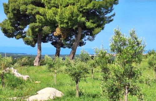 Casa dell` armonia - Foto 22