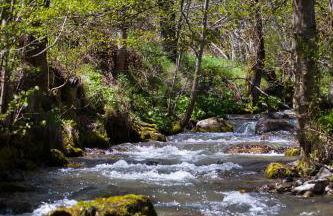 La Dormeuse du Val - Foto 34
