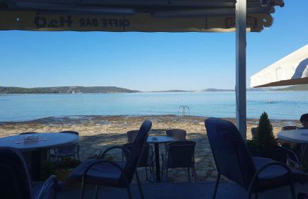 Oleander adria - Foto 36