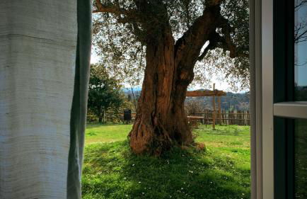 Agriturismo L'isola - Foto 59