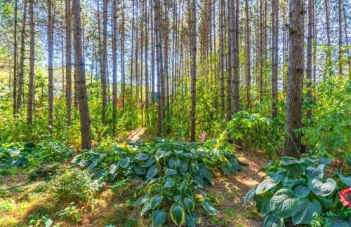 Hiking Roes Nature & Charm - Foto 30