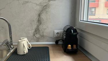 Loft Alexa - Photo 2