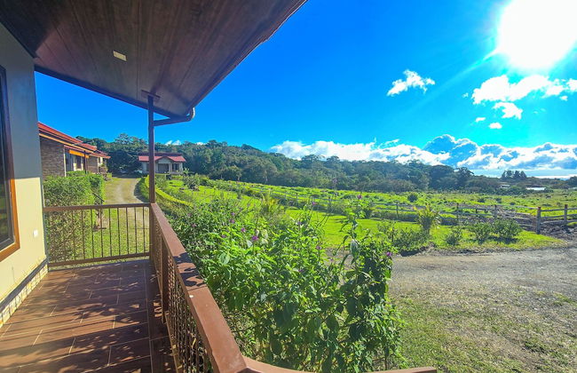 Almore Hotel - Foto 78