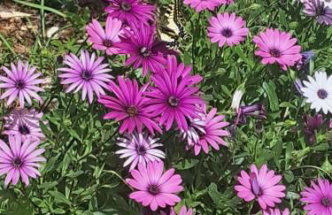 Casa de las Vistas - Photo 68