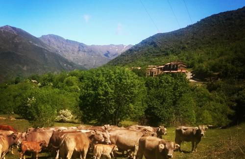 La Faiada - Photo 36