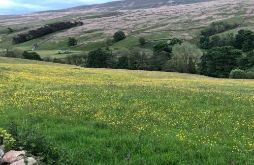 Coverdale cottage - Photo 59