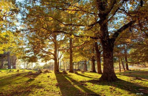 Casa Cuesta del Reloj - Photo 45