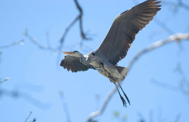 Apartment for two Only 20 m From Boruja Lake in Rekowo - Foto 20